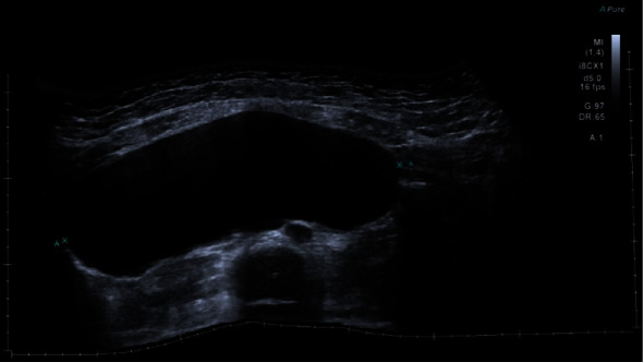 Abstract Image