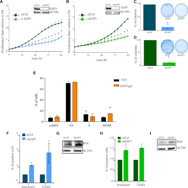 KAP1 is a new non-genetic vulnerability of malignant pleural mesothelioma (MPM).