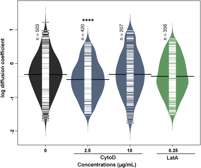 NEU1 and NEU3 enzymes alter CD22 organization on B cells.