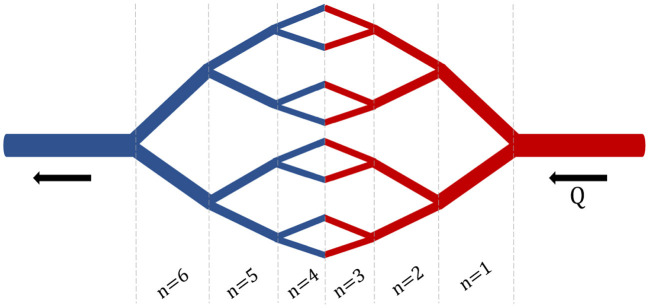 Multiphysics pharmacokinetic model for targeted nanoparticles.