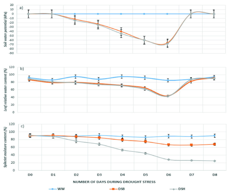 Drought-Induced Changes in The Flowering Capacity, Anthesis Quality and Seed Set in Rice (<i>Oryza sativa</i> L.).