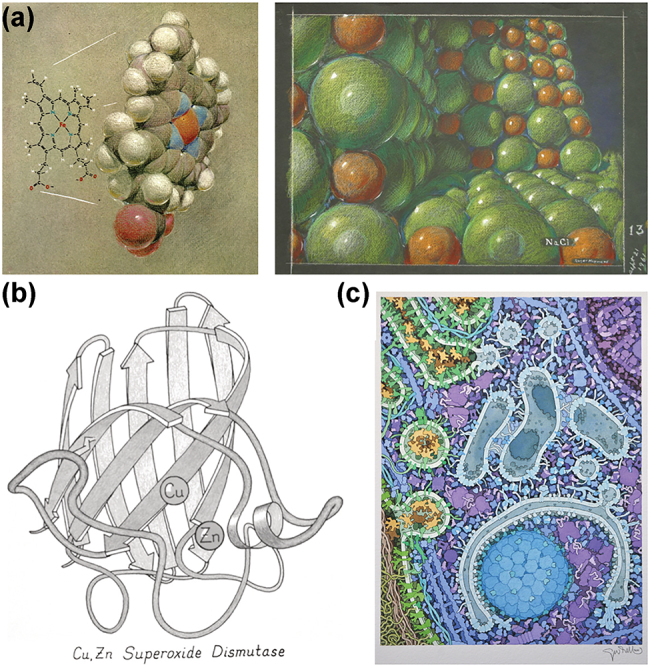 Design - a new way to look at old molecules.