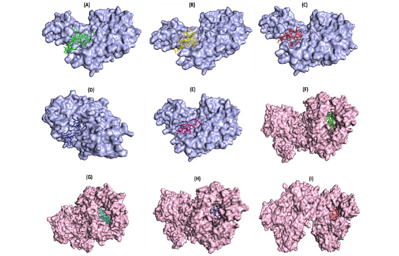 Development of a Multiepitope Vaccine Against SARS-CoV-2: Immunoinformatics Study.