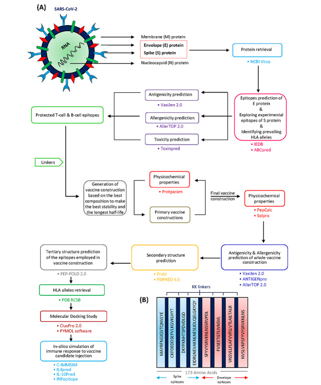 Development of a Multiepitope Vaccine Against SARS-CoV-2: Immunoinformatics Study.