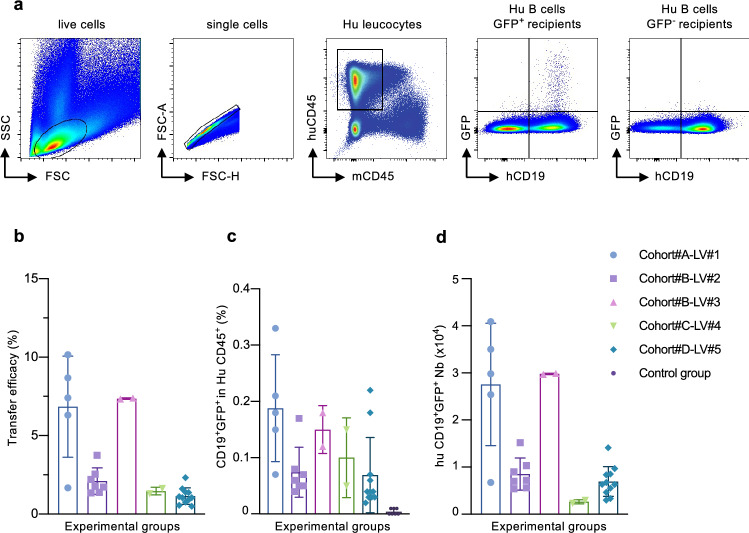Efficient adoptive transfer of autologous modified B cells: a new humanized platform mouse model for testing B cells reprogramming therapies.
