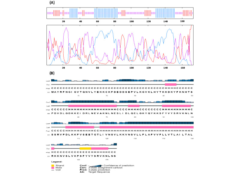 Development of a Multiepitope Vaccine Against SARS-CoV-2: Immunoinformatics Study.