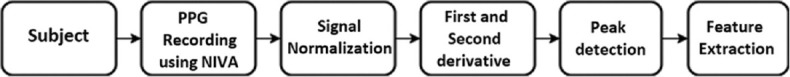Cardiovascular System Modeling Using Windkessel Segmentation Model Based on Photoplethysmography Measurements of Fingers and Toes.