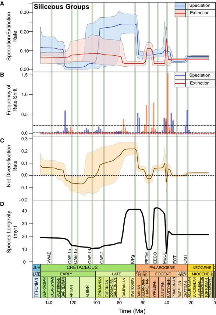 Diversity dynamics of microfossils from the Cretaceous to the Neogene show mixed responses to events.