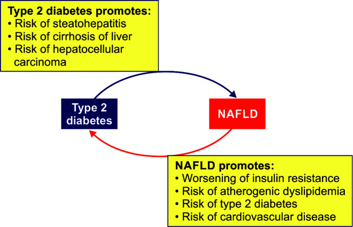 Nonalcoholic Fatty Liver Disease in Diabetics: The Role of Hepatologist.