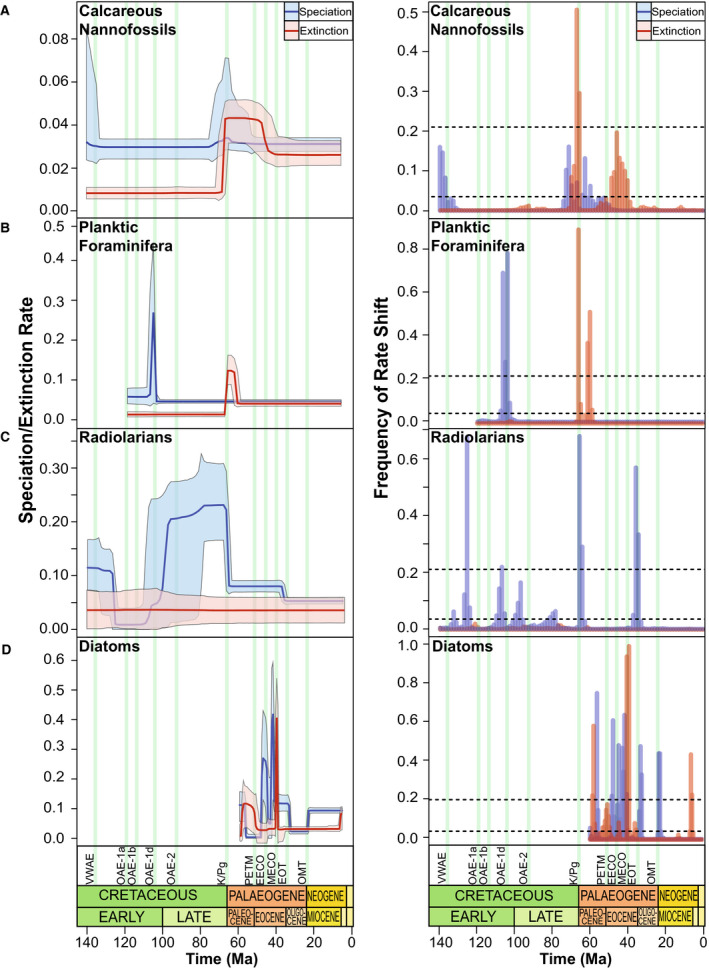 Diversity dynamics of microfossils from the Cretaceous to the Neogene show mixed responses to events.