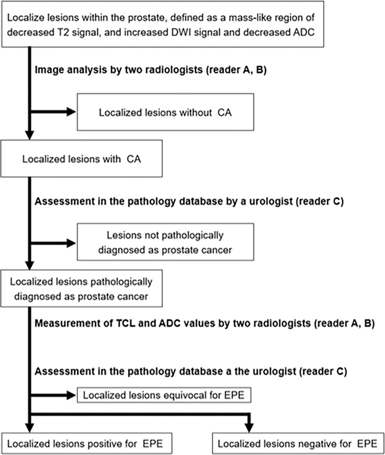 Combining the Tumor Contact Length and Apparent Diffusion Coefficient Better Predicts Extraprostatic Extension of Prostate Cancer with Capsular Abutment: A 3 Tesla MR Imaging Study.