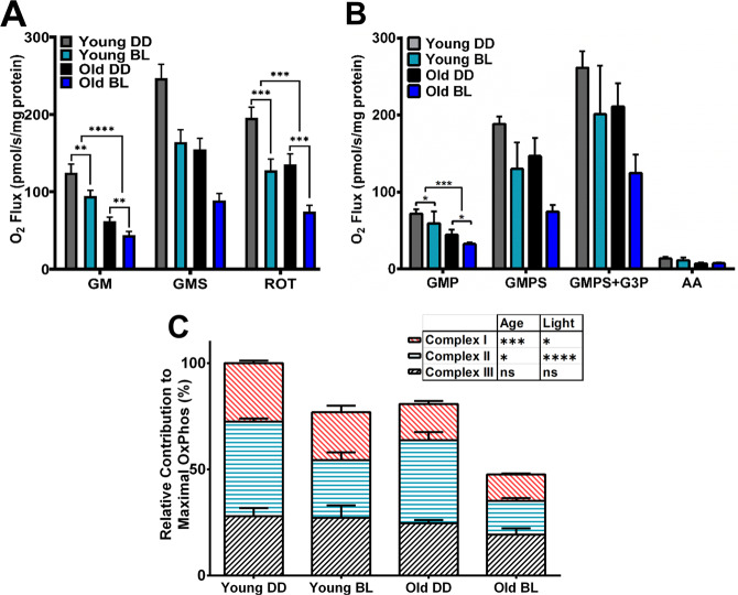 Age-dependent effects of blue light exposure on lifespan, neurodegeneration, and mitochondria physiology in Drosophila melanogaster.