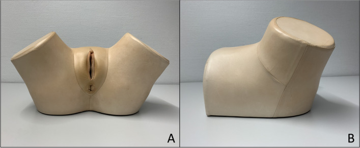 Evaluating the value of a 3D printed model for hands-on training of gynecological pelvic examination.