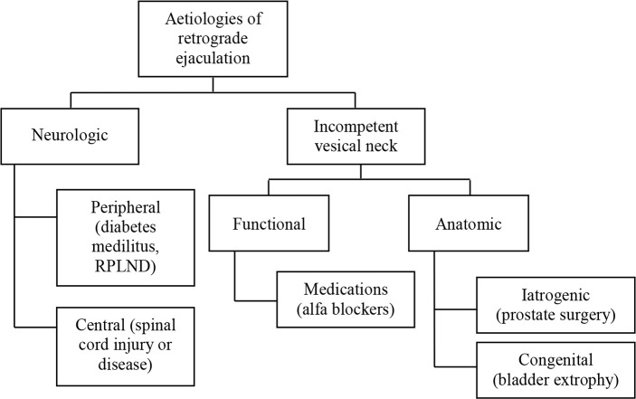 Sperm Retrieval in Non-azoospermic Patients with Persistent Ejaculation Dysfunction.