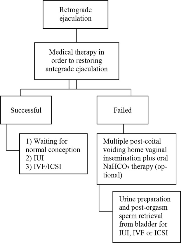 Sperm Retrieval in Non-azoospermic Patients with Persistent Ejaculation Dysfunction.