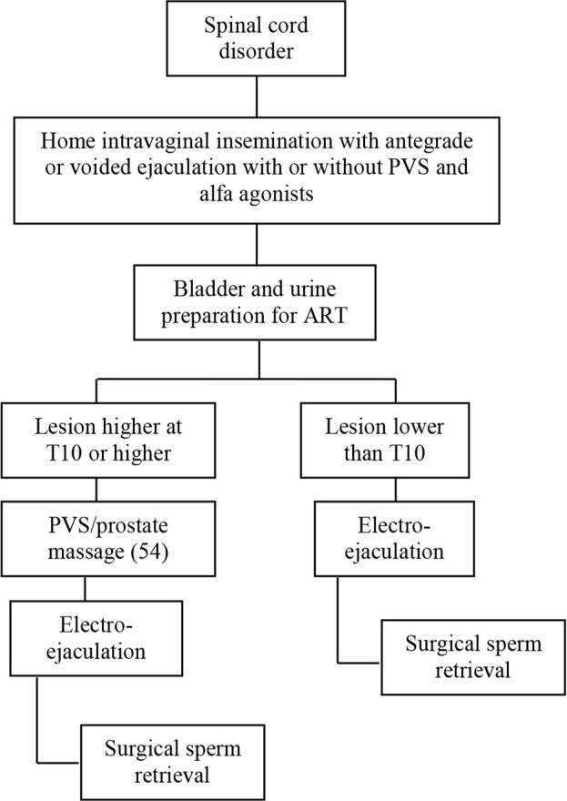 Sperm Retrieval in Non-azoospermic Patients with Persistent Ejaculation Dysfunction.