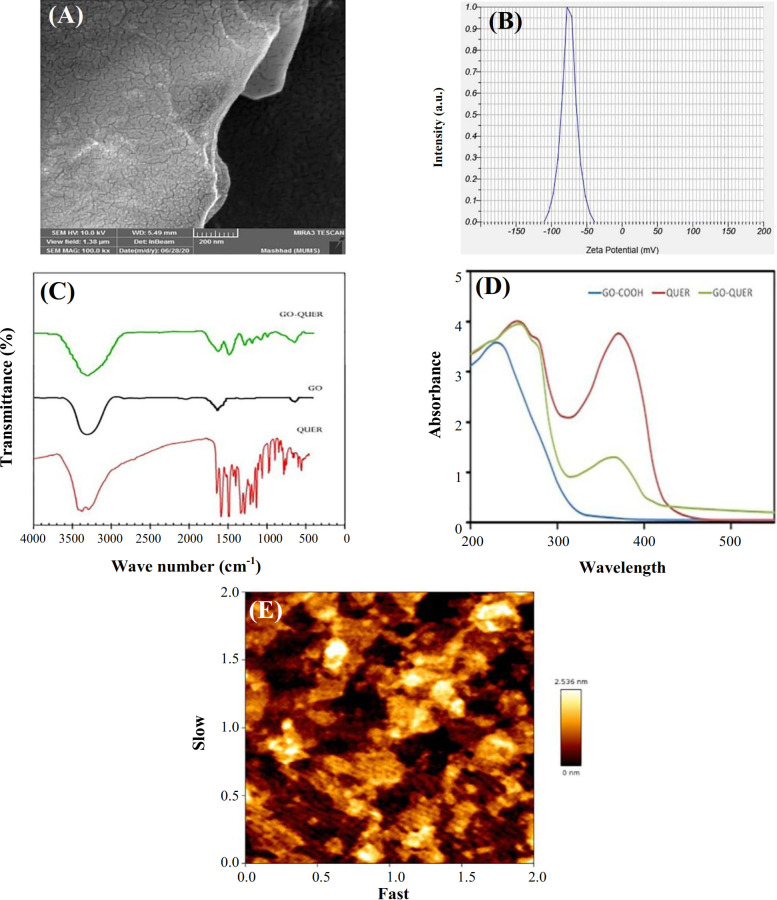 Carboxylated Graphene Oxide as a Nanocarrier for Drug Delivery of Quercetin as an Effective Anticancer Agent