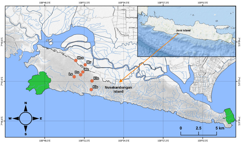 A Checklist of the Herpetofauna of Nusa Kambangan Island, Central Java, Indonesia.