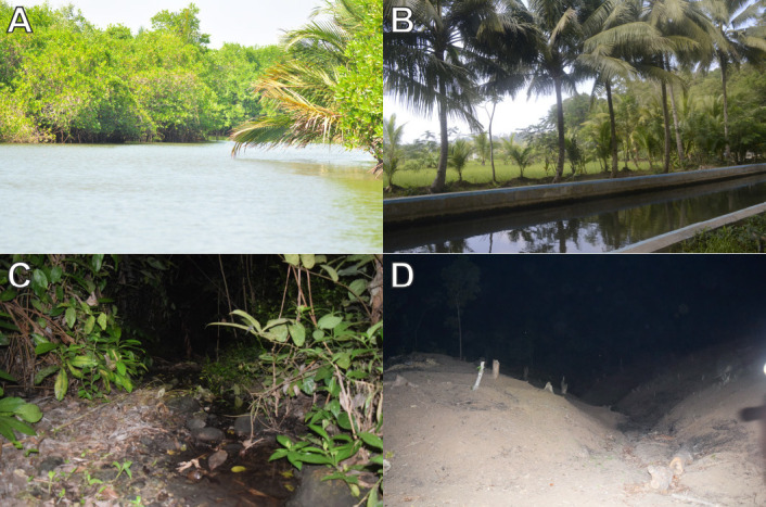 A Checklist of the Herpetofauna of Nusa Kambangan Island, Central Java, Indonesia.