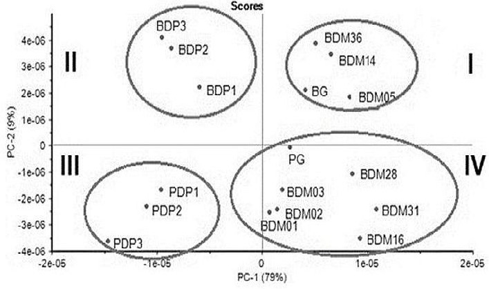 Attenuated Total Reflectance-Fourier Transform Infrared (ATR-FTIR) Spectroscopy Coupled with Principal Component Analysis and Polymerase Chain Reaction (PCR) Assay for the Detection of Porcine and Bovine Gelatins in Dental Materials.