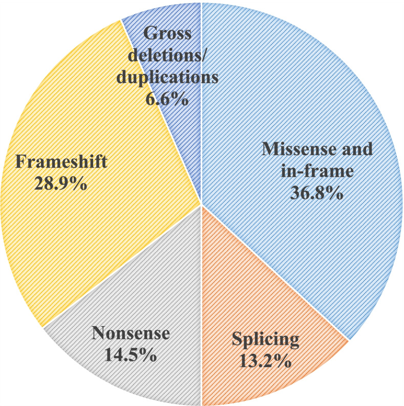 Mutation update of SERPING1 related to hereditary angioedema in the Chinese population.