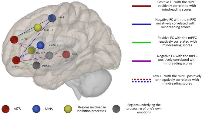 Functional connectivity of the medial prefrontal cortex related to mindreading abilities.