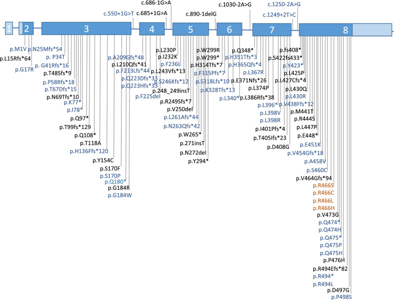 Mutation update of SERPING1 related to hereditary angioedema in the Chinese population.