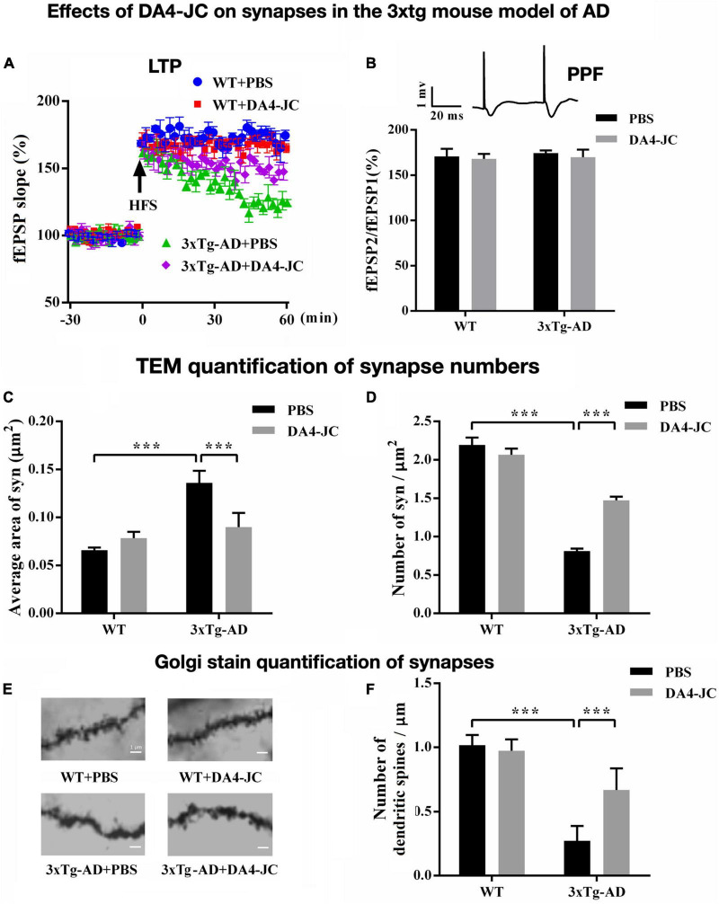 Glucagon-like peptide 1 and glucose-dependent insulinotropic peptide hormones and novel receptor agonists protect synapses in Alzheimer's and Parkinson's diseases.