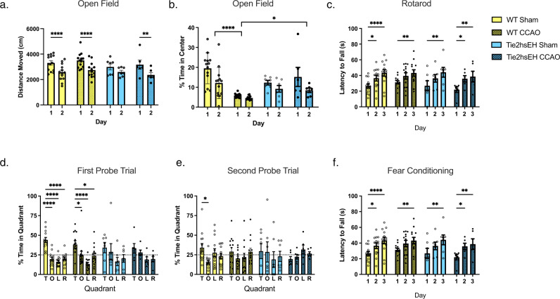 Age-dependent cognitive impairment, hydrocephalus and leukocyte infiltration in transgenic mice with endothelial expression of human EPHX2.