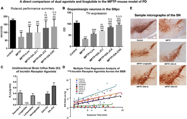 Glucagon-like peptide 1 and glucose-dependent insulinotropic peptide hormones and novel receptor agonists protect synapses in Alzheimer's and Parkinson's diseases.