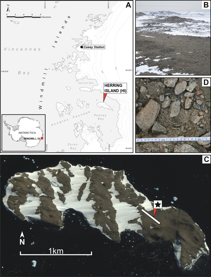 Soil substrate culturing approaches recover diverse members of Actinomycetota from desert soils of Herring Island, East Antarctica.