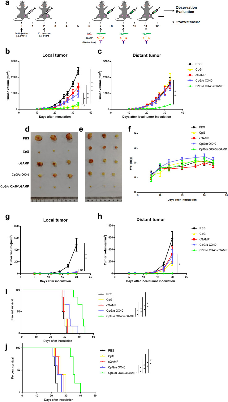 Robust immune response stimulated by in situ injection of CpG/αOX40/cGAMP in αPD-1-resistant malignancy.