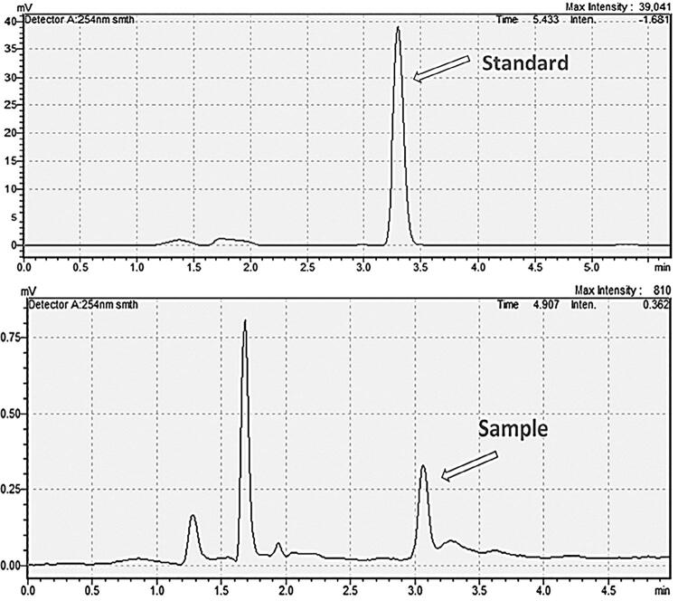 The effect of cooling procedures on monomer elution from heat-cured polymethyl methacrylate denture base materials.