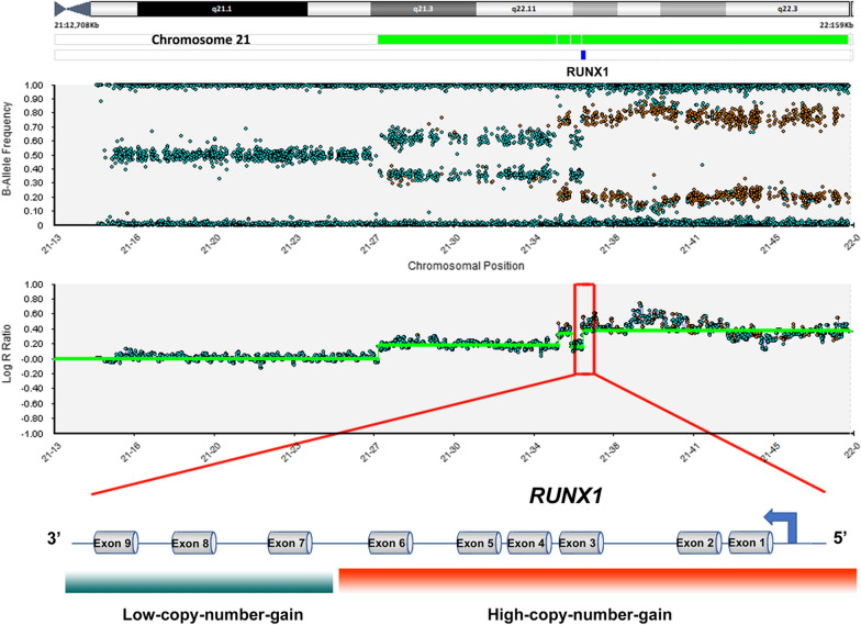 21q22 amplification detection in three patients with acute myeloid leukemia: cytogenomic profiling and literature review.