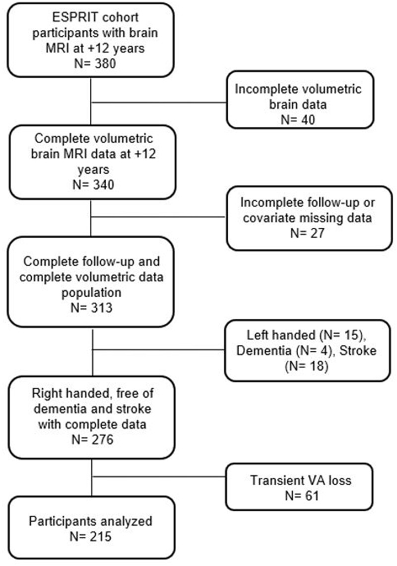 Association Between Vision and Brain Cortical Thickness in a Community-Dwelling Elderly Cohort.