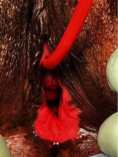 Abstract Image