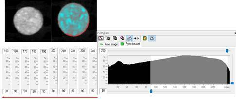 Effect of different thresholds on the accuracy of linear and volumetric analysis of native- and grafted-bone.