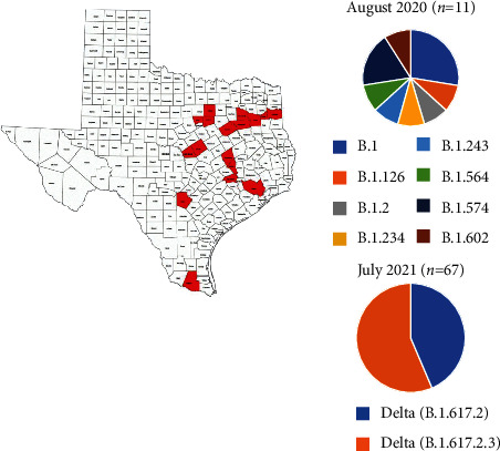 Confirming Multiplex RT-qPCR Use in COVID-19 with Next-Generation Sequencing: Strategies for Epidemiological Advantage.