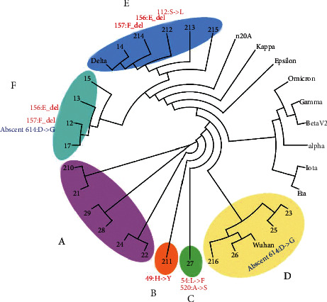 Confirming Multiplex RT-qPCR Use in COVID-19 with Next-Generation Sequencing: Strategies for Epidemiological Advantage.