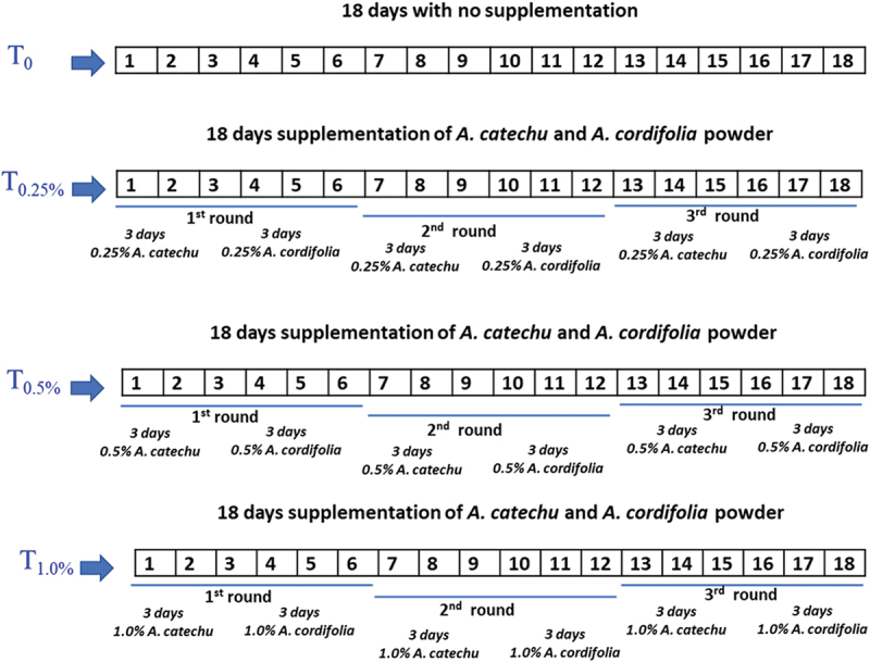 <i>Areca catechu L</i>. and <i>Anredera cordifolia (Ten) Steenis</i> supplementation reduces faecal parasites and improves caecal histopathology in laying hens.