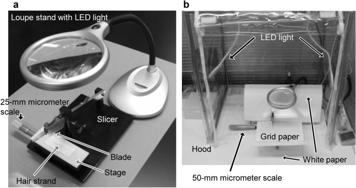 Micro-segmental hair analysis: detailed procedures and applications in forensic toxicology.