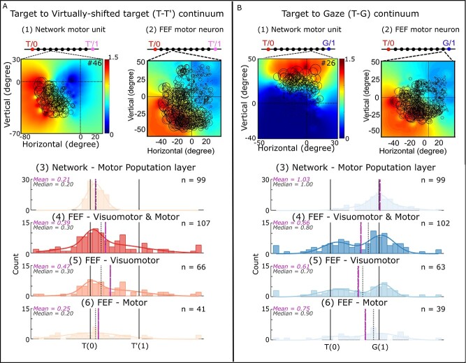 Integration of allocentric and egocentric visual information in a convolutional/multilayer perceptron network model of goal-directed gaze shifts.