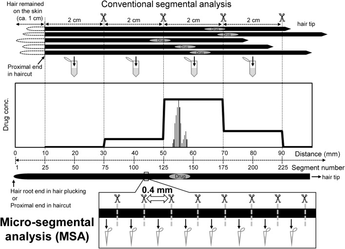 Micro-segmental hair analysis: detailed procedures and applications in forensic toxicology.