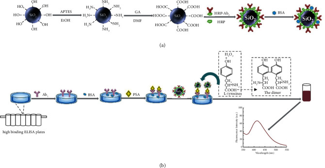 A Sensitive Fluorescent Immunoassay for Prostate Specific Antigen Detection Based on Signal Amplify Strategy of Horseradish Peroxidase and Silicon Dioxide Nanospheres.