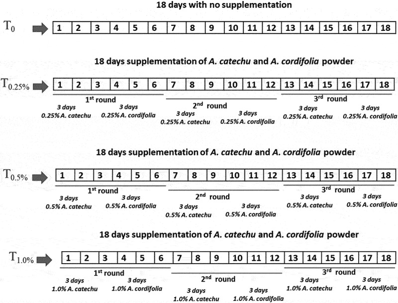 <i>Areca catechu L</i>. and <i>Anredera cordifolia (Ten) Steenis</i> supplementation reduces faecal parasites and improves caecal histopathology in laying hens.