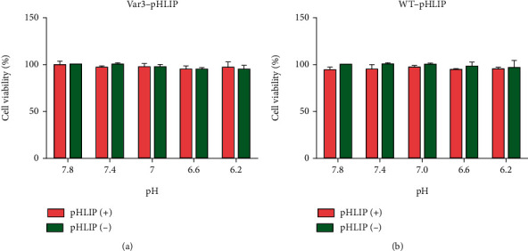 In Vivo Distribution and Therapeutic Efficacy of Radioiodine-Labeled pH-Low Insertion Peptide Variant 3 in a Mouse Model of Breast Cancer.