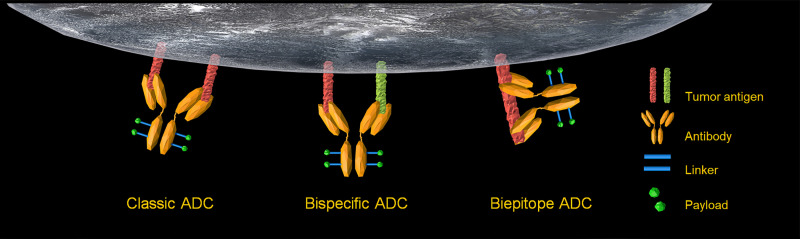 New Technologies Bloom Together for Bettering Cancer Drug Conjugates.