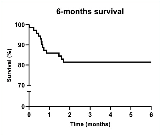 Clinical and hemodynamic outcomes and mortality risk factors in patients undergoing pulmonary thromboendarterectomy.