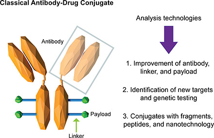 New Technologies Bloom Together for Bettering Cancer Drug Conjugates.