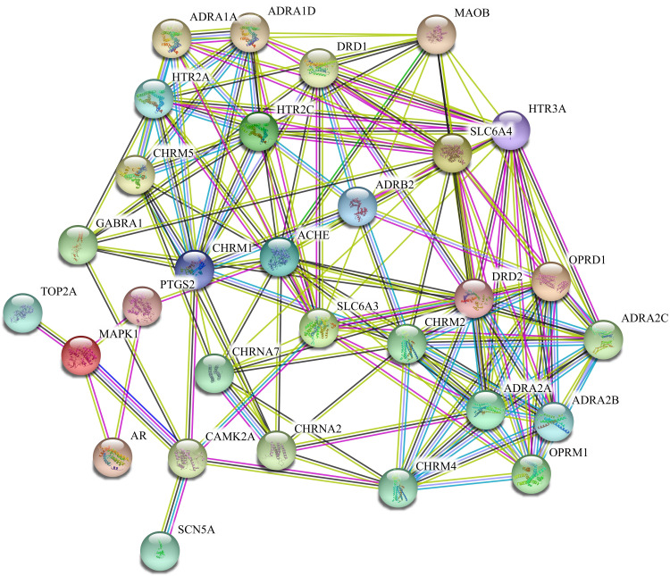 Mechanisms of Action of <i>Semen Ziziphi spinosae</i> in the Treatment of Tourette Syndrome.